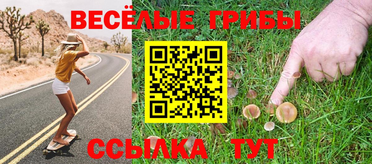 Галлюциногенные грибы мухоморы Махачкала
