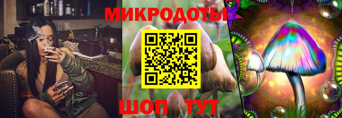 Махачкала  Галлюциногенные грибы Psilocybine cubensis  Вход с VPN 